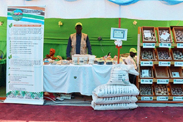Confédération Coopérative Paysanne Horticole Niger (CCPHN) : Promouvoir Les Spéculations À Haute Valeur Ajoutée Pour Accroître Les Revenus Des Producteurs